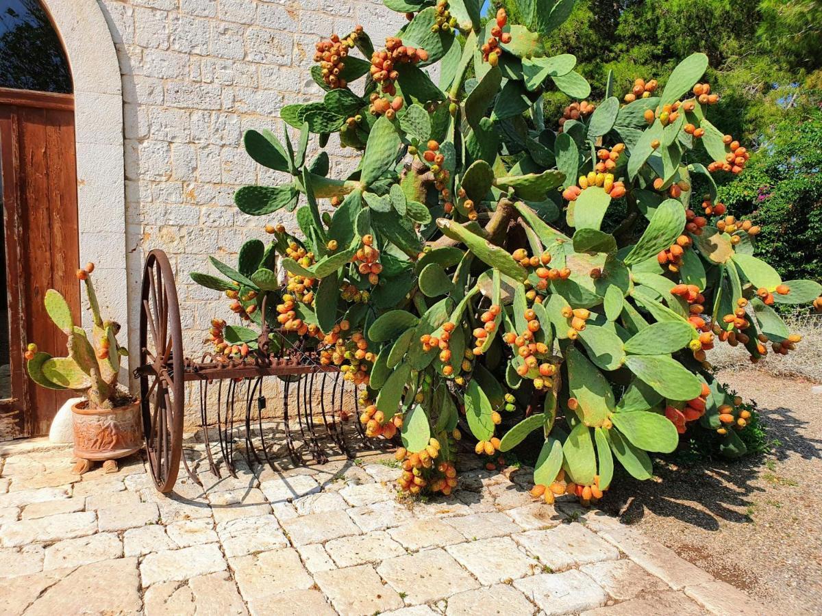 Masseria Agrituristica Lama San Giorgio Rutigliano Kültér fotó