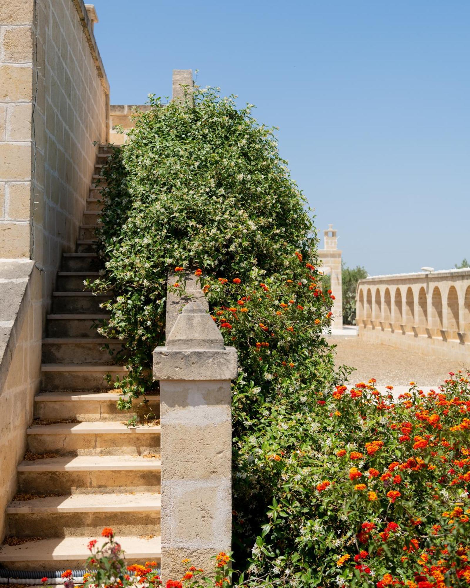 Masseria Agrituristica Lama San Giorgio Rutigliano Kültér fotó