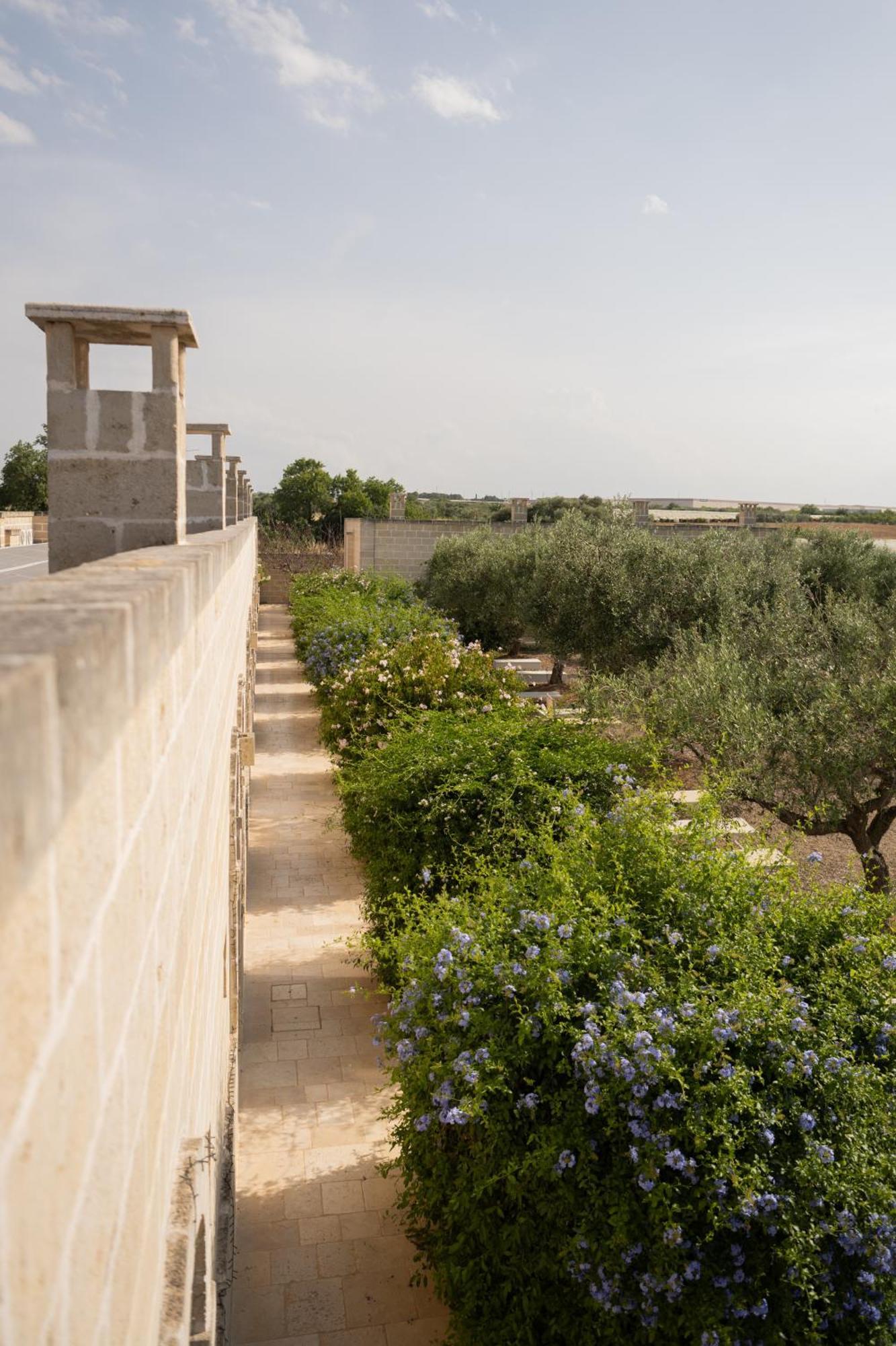 Masseria Agrituristica Lama San Giorgio Rutigliano Kültér fotó